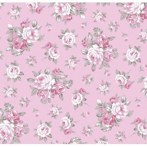 Magnolia cor 04 (Rose) 